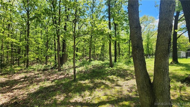 10711 Schick Rd, Stover, MO 65078 - photo 36
