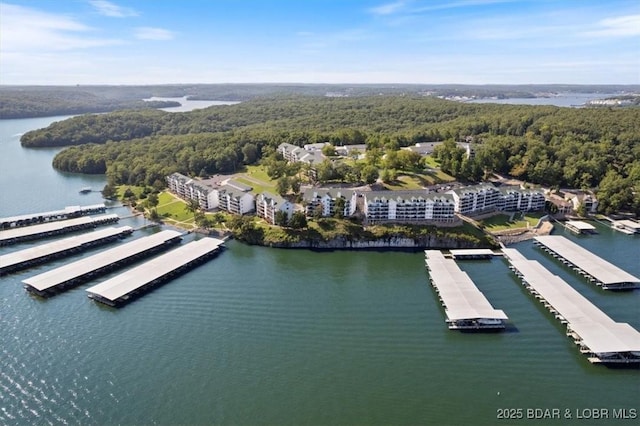 bird's eye view with a forest view and a water view