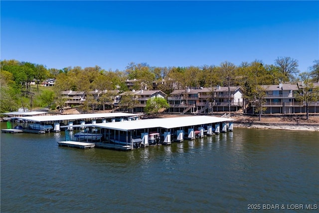 dock area with a water view