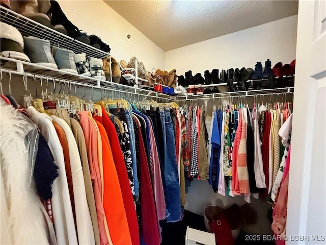 view of walk in closet