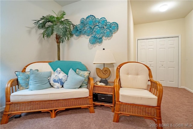 living area featuring carpet floors