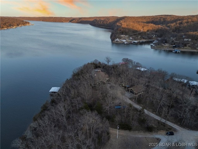 bird's eye view featuring a forest view and a water view