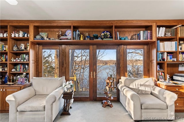 carpeted living area featuring plenty of natural light