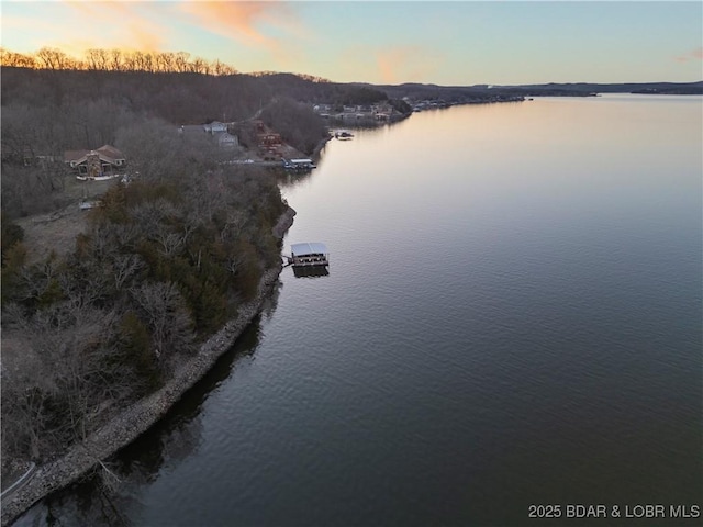 property view of water featuring a floating dock