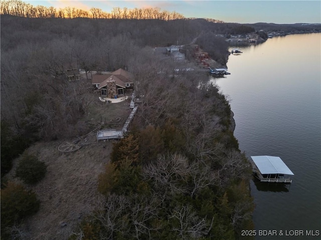 birds eye view of property with a forest view and a water view