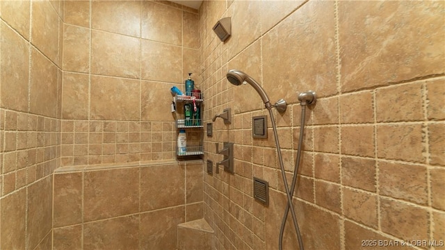 room details with tiled shower