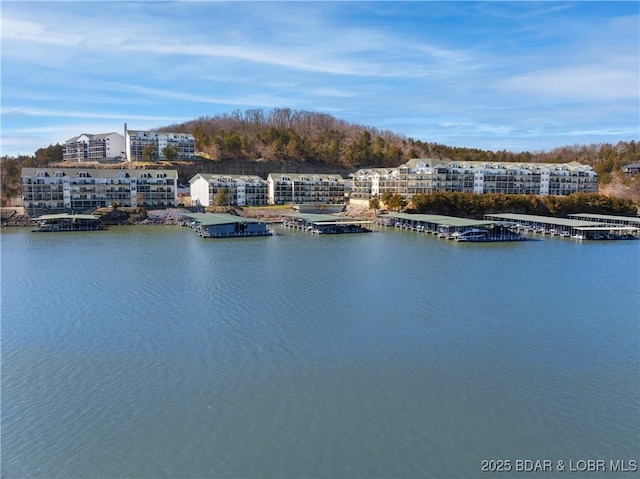 298 Cedar Heights Dr Unit 2C, Camdenton, MO 65020 - view of water feature