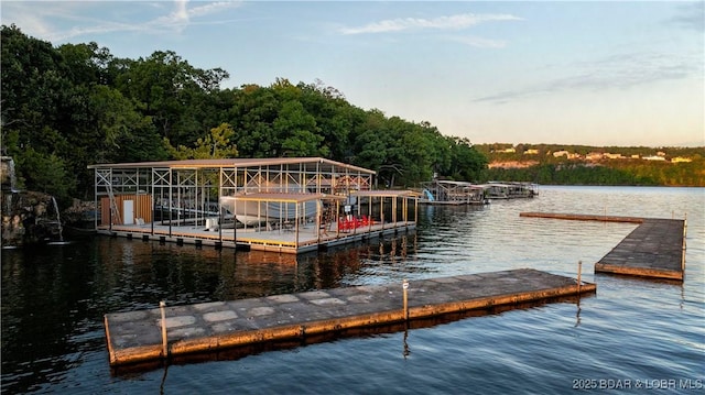 dock area featuring a water view