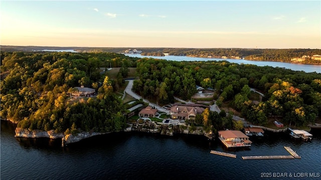 drone / aerial view with a forest view and a water view