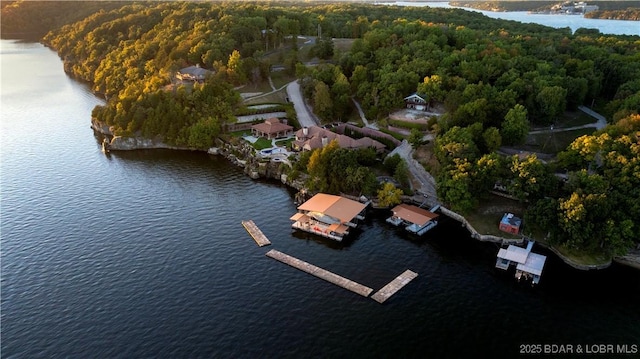 drone / aerial view with a wooded view and a water view