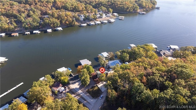 birds eye view of property with a wooded view and a water view