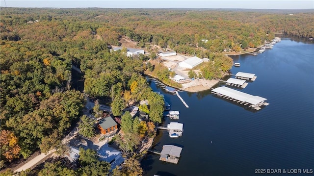 bird's eye view featuring a forest view and a water view