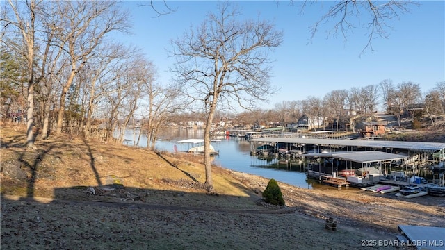 dock area featuring a water view