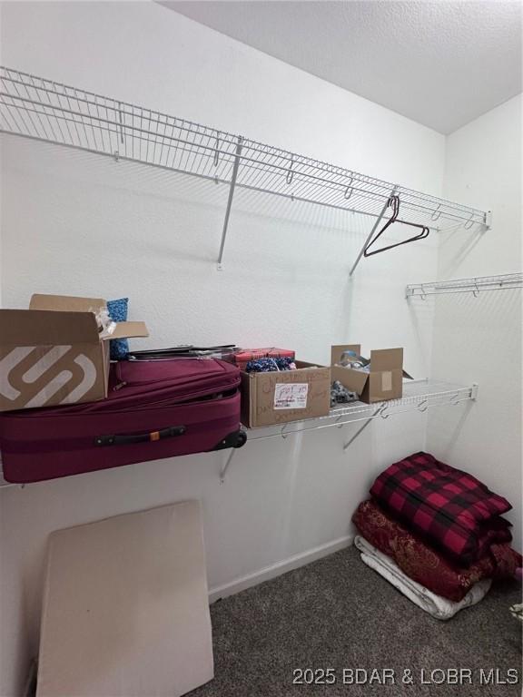 217 Highline Rd, Lake Ozark, MO 65049 - walk in closet featuring carpet floors