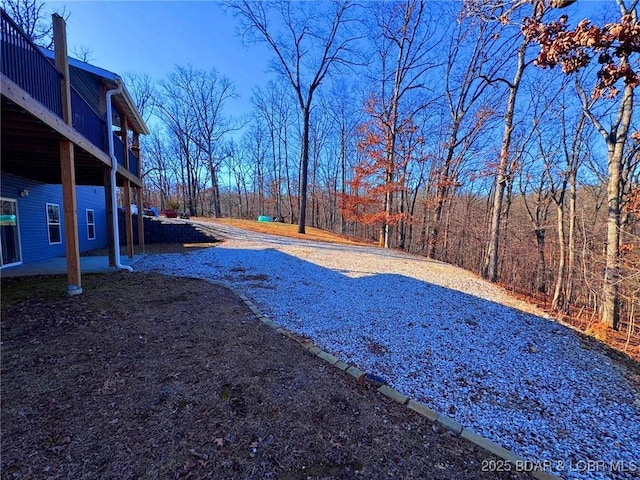 view of yard featuring a patio area