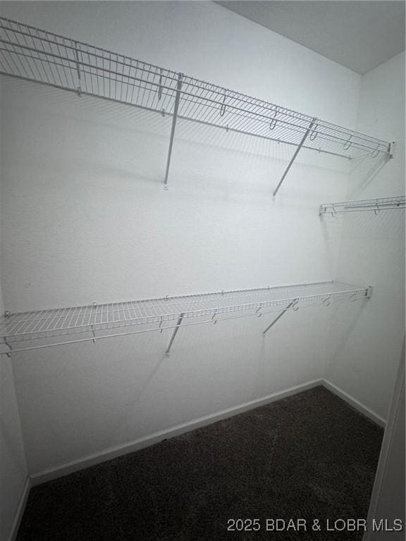 217 Highline Rd, Lake Ozark, MO 65049 - spacious closet featuring carpet