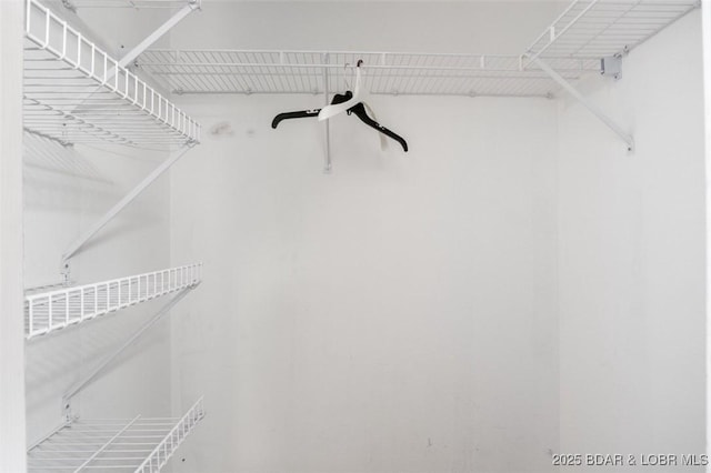 view of walk in closet