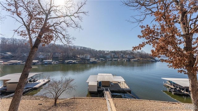 dock area with a water view