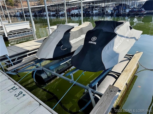 dock area with a water view