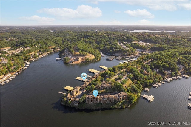 birds eye view of property with a forest view and a water view