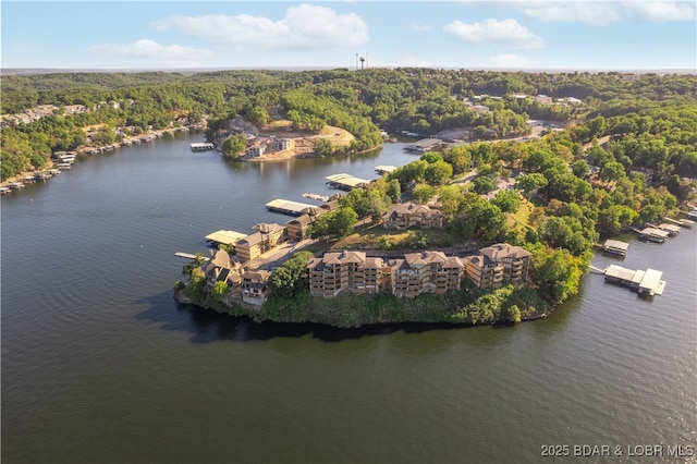 bird's eye view featuring a forest view and a water view