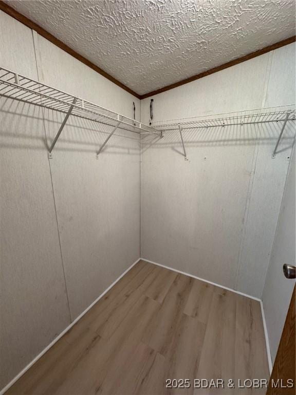 walk in closet with wood finished floors