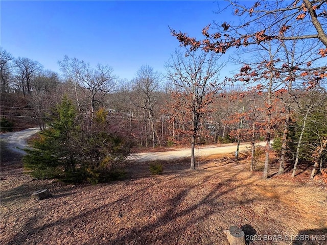 view of yard featuring a wooded view