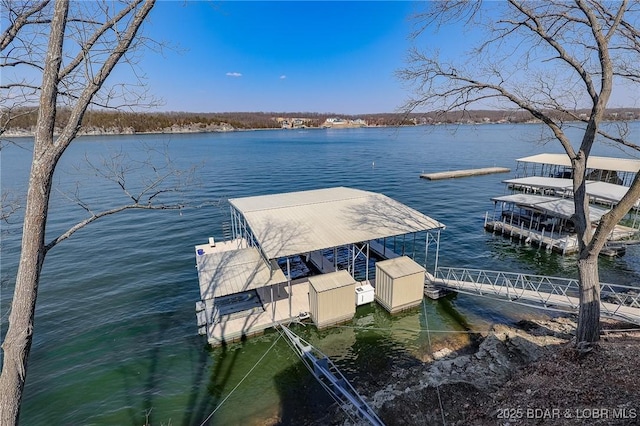 dock area with a water view