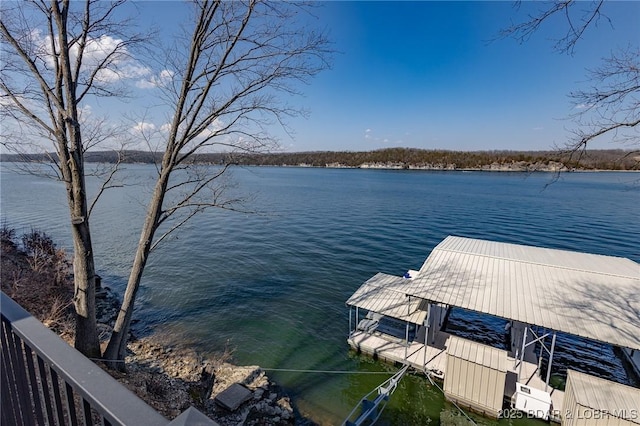 dock area with a water view