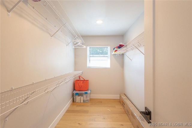 walk in closet with light wood finished floors