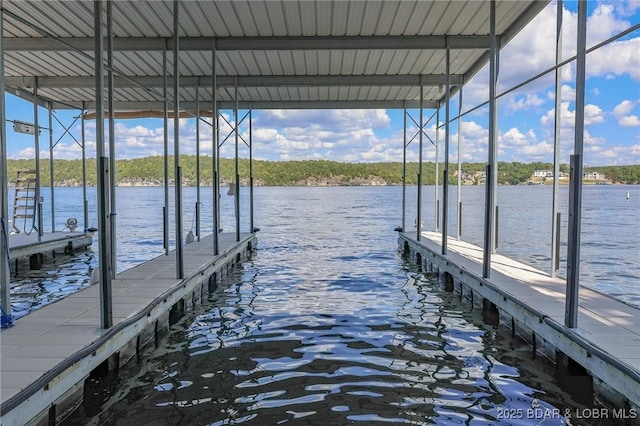 dock area with a water view