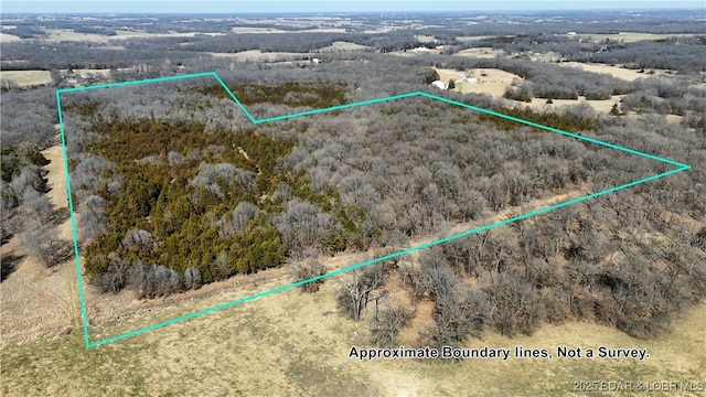 drone / aerial view featuring a rural view