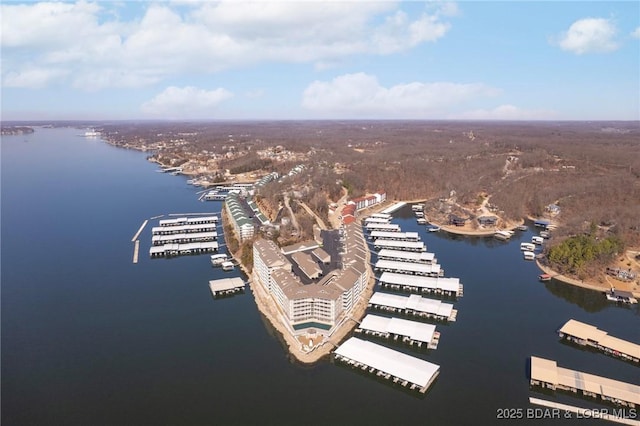 68 Lighthouse Rd Unit 344, Lake Ozark, MO 65049 - view of property location with a large body of water and a marina