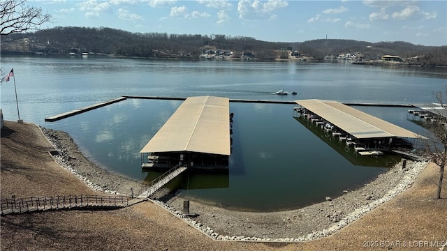 dock area featuring a water view