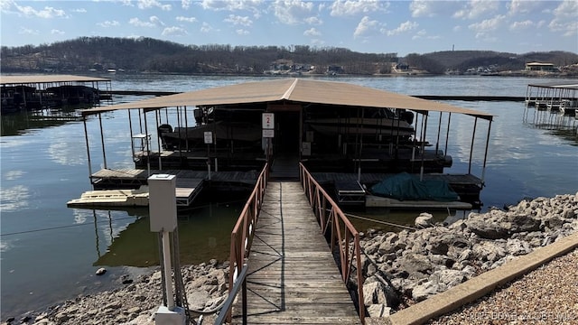 dock area featuring a water view