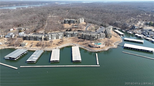 bird's eye view with a view of trees and a water view