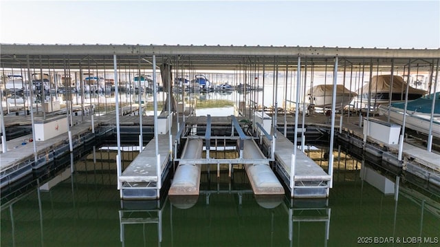 dock area with boat lift