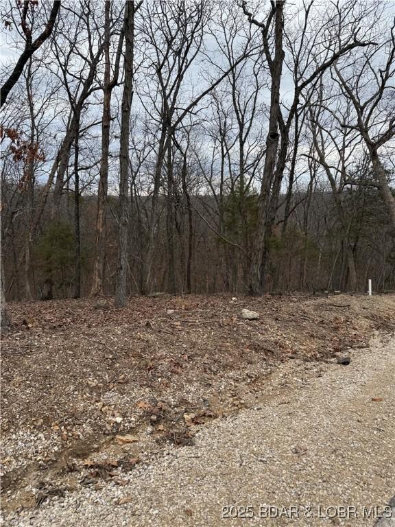 725 Eagle Dr, Lake Ozark MO, 65049 land for sale