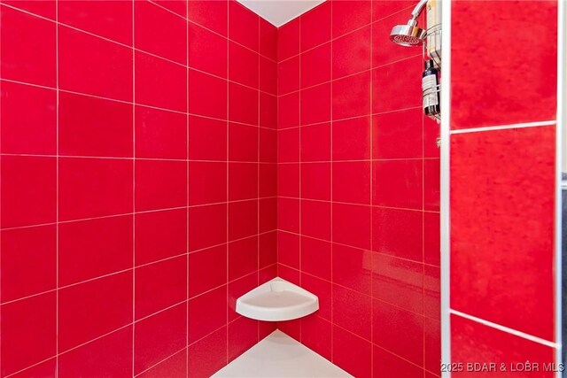 145 Bella Terra Ct, Sunrise Beach, MO 65079 - full bath with tiled shower
