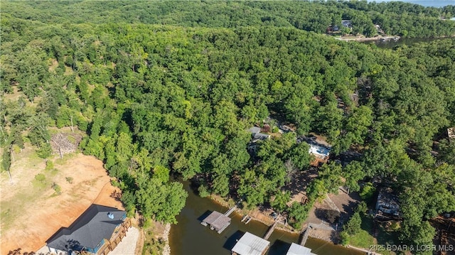birds eye view of property featuring a water view and a forest view