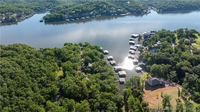 aerial view featuring a water view and a view of trees