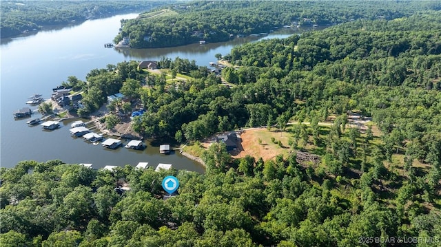 birds eye view of property featuring a water view and a view of trees