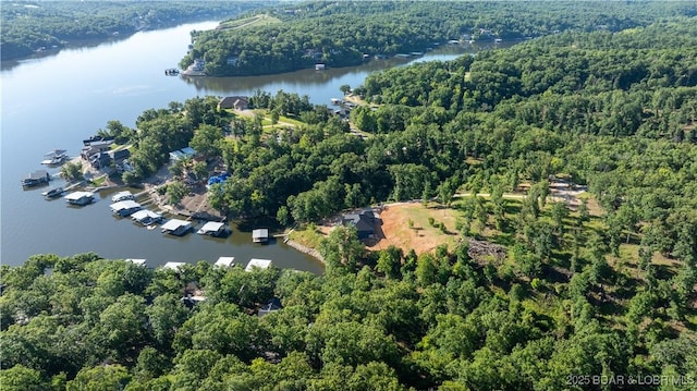 birds eye view of property with a view of trees and a water view