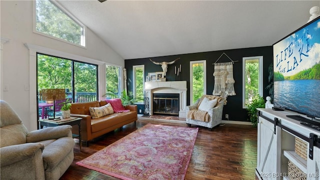 living area with a healthy amount of sunlight, high vaulted ceiling, and dark wood-style flooring