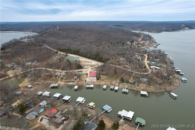 bird's eye view featuring a view of trees and a water view