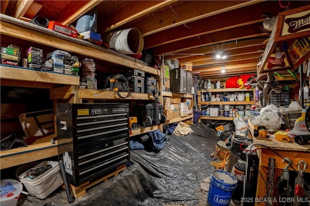2813 Great Lake View Dr, Gravois Mills, MO 65037 - view of storage