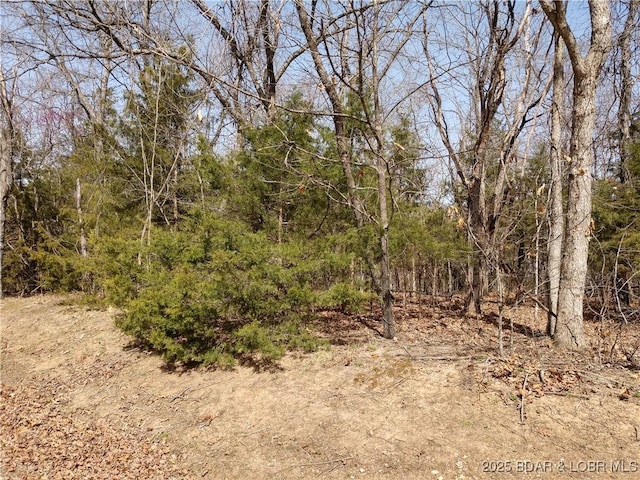 127 Villages Way, Villages, MO 65079 - photo 2