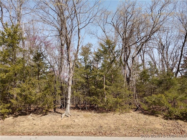 127 Villages Way, Villages, MO 65079 - photo 3