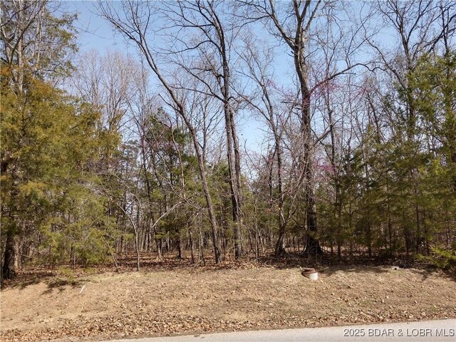127 Villages Way, Villages, MO 65079 - photo 4