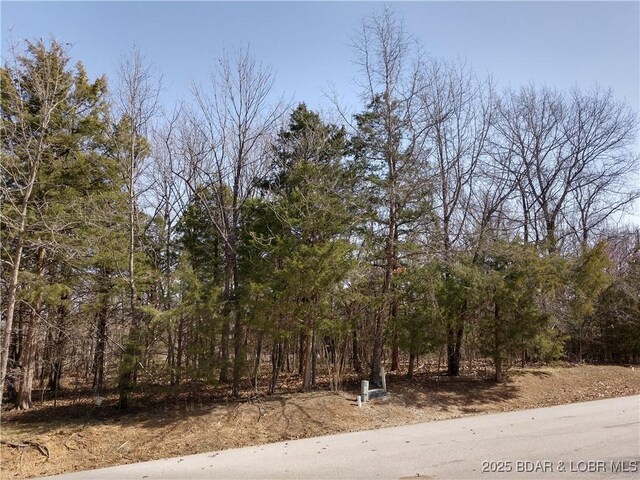 127 Villages Way, Villages, MO 65079 - photo 5